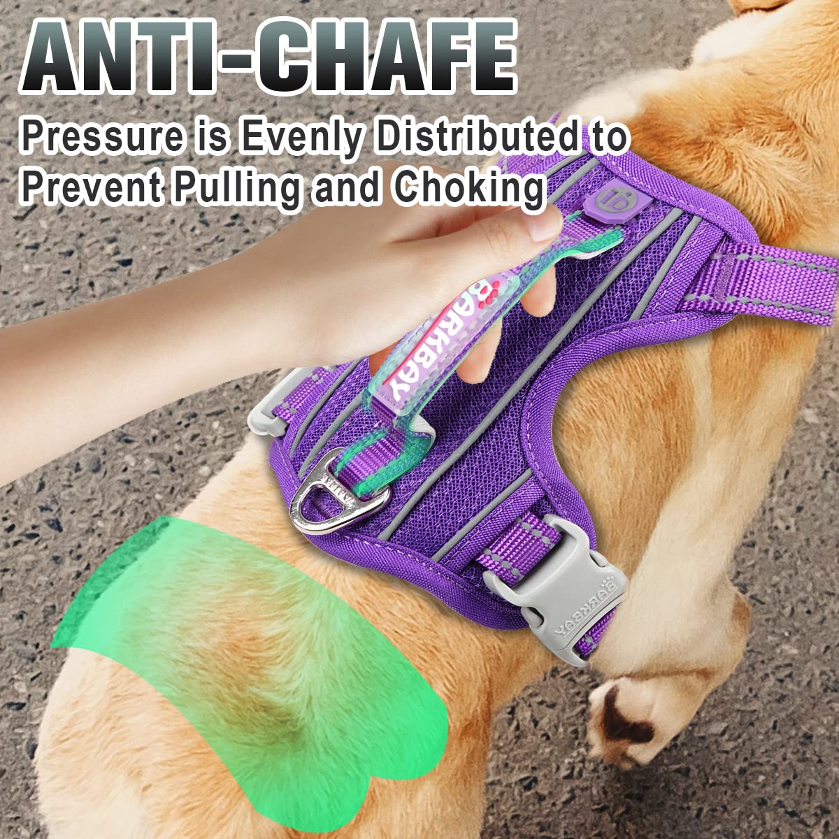 BARKBAY durable no-rip nylon and anti-chafe padding for comfort.