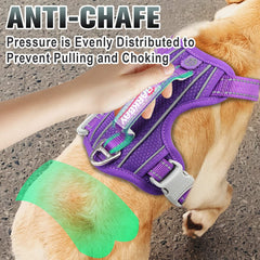 BARKBAY durable no-rip nylon and anti-chafe padding for comfort.