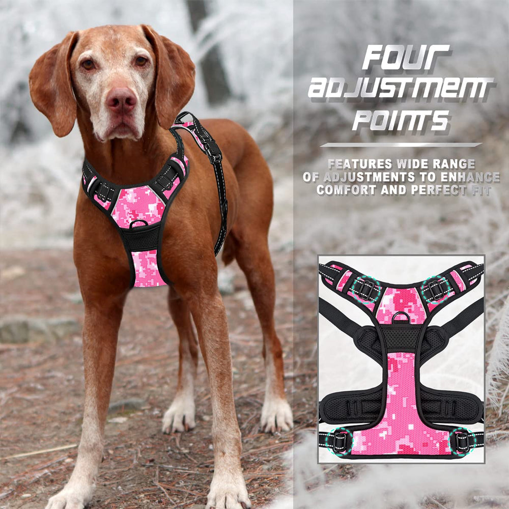 BARKBAY Anti-chafe padding minimizes irritation during longer wear