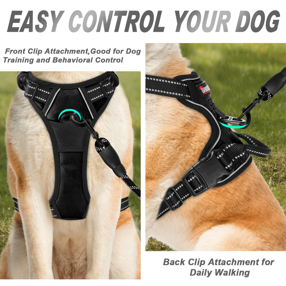 BARKBAY No Pull Harness back attachment point for versatile leash setup.