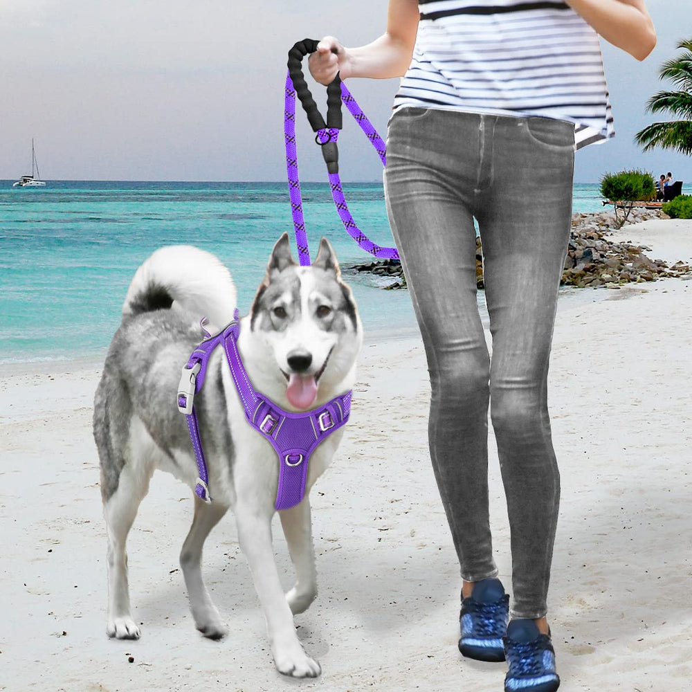BARKBAY purple harness with back D-ring for casual strolls.