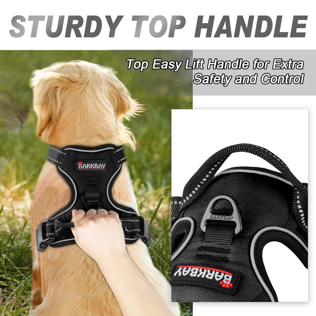 BARKBAY No Pull Harness chest attachment point supports front control during walks.