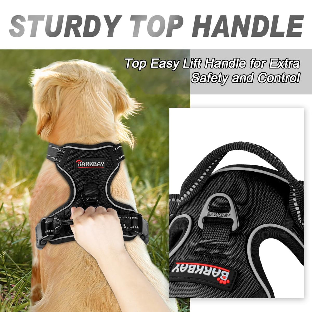 BARKBAY No Pull Harness chest attachment point supports front control during walks.
