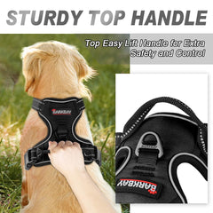 BARKBAY No Pull Harness chest attachment point supports front control during walks.