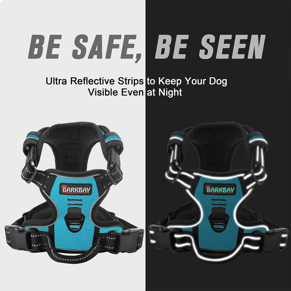 BARKBAY Dual leash attachment points back and chest blue improve control.