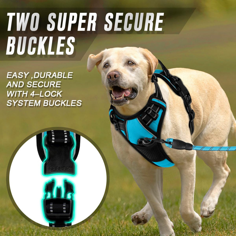 BARKBAY easy-on-off design for quick, snag-free wearing.