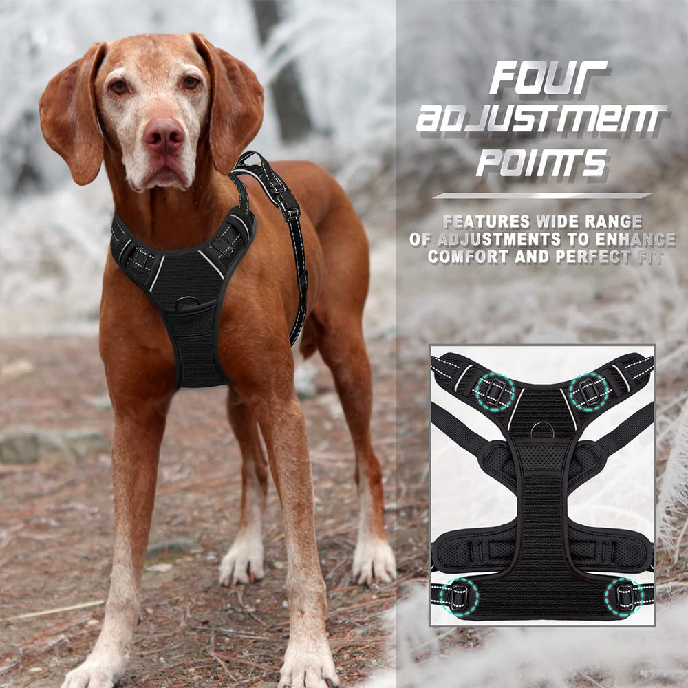 BARKBAY No Pull Harness four adjustment points ensure a secure fit.