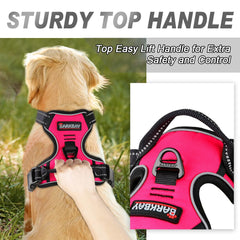 BARKBAY four-adjustment points shown for near-custom fit and comfort.