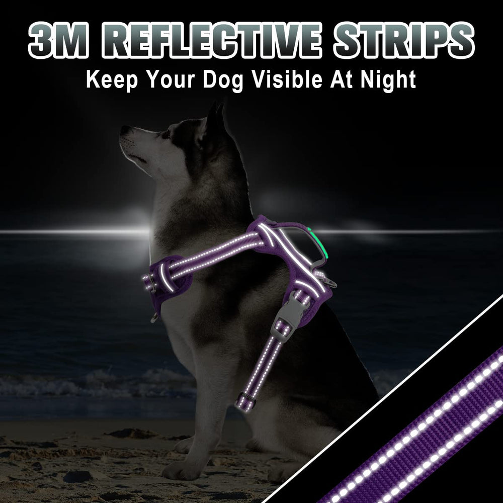 BARKBAY four-point adjustment offers a near-custom fit.