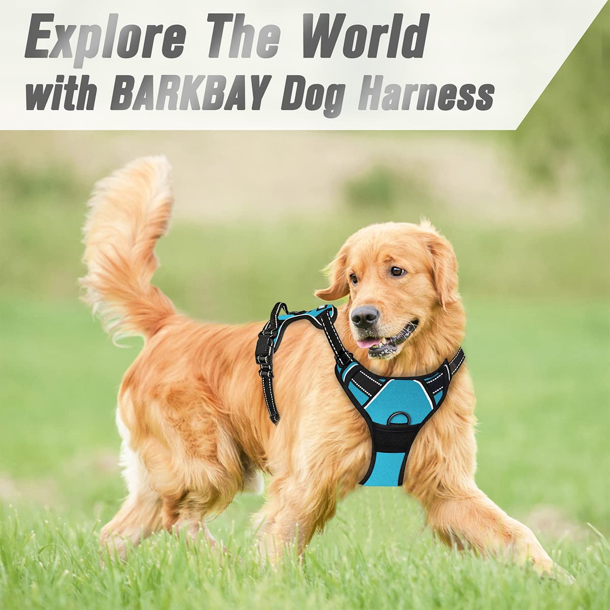 BARKBAY lightweight no rip nylon construction for durability.