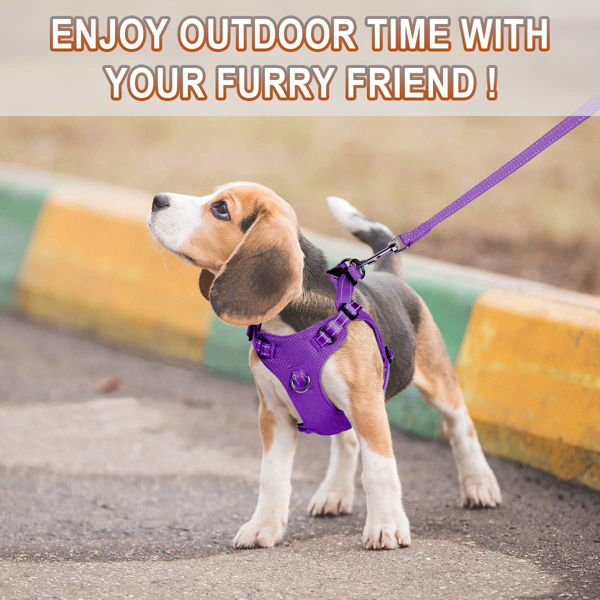 BARKBAY step-in harness supports no-pull control with front and back options.