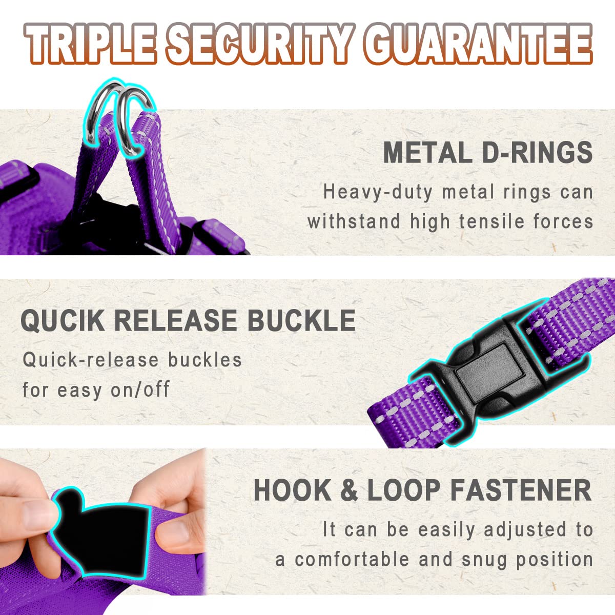 BARKBAY purple harness adds style for everyday walks.