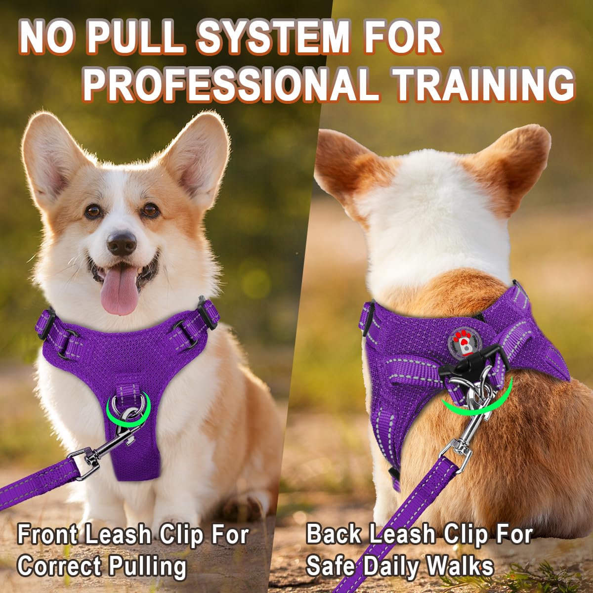 BARKBAY reflective 3M strip increases visibility during night walks.