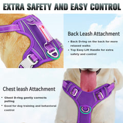 BARKBAY reflective strips enhance nighttime visibility for safer walks.