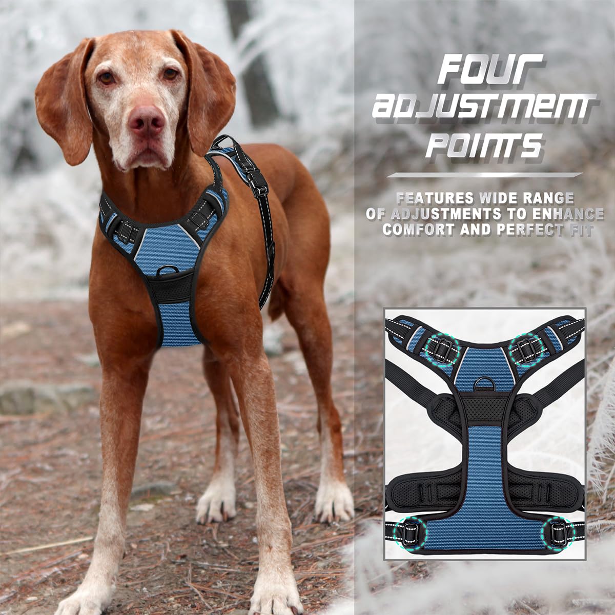 BARKBAY Top lift handle enhances control during busy outings.