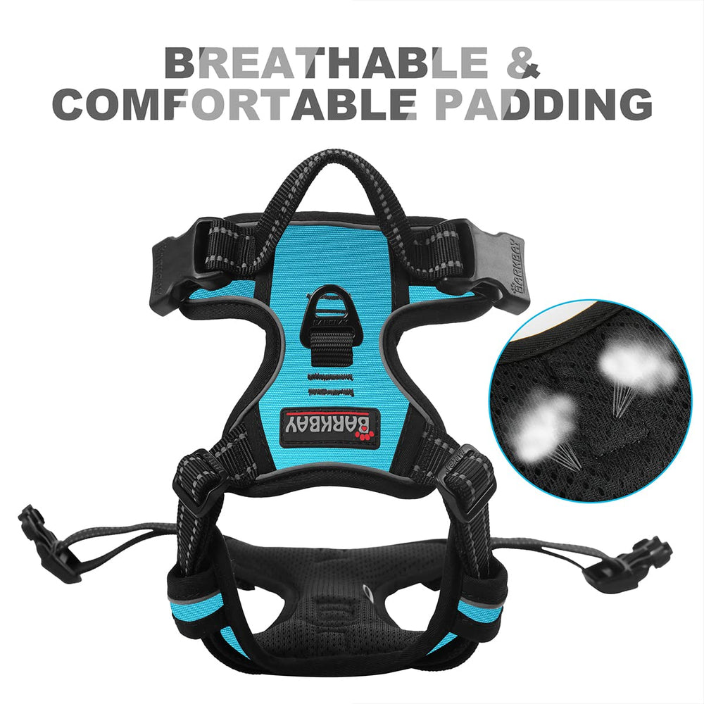 BARKBAY Top lift handle blue adds safety and control.