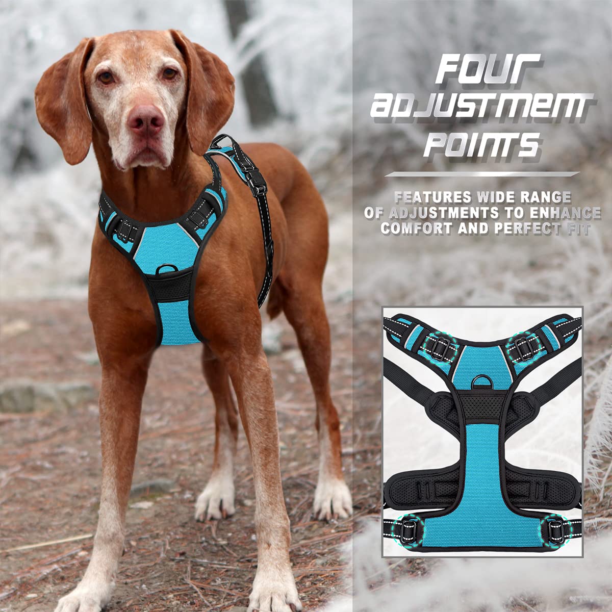BARKBAY ultra-reflective strips boost night visibility.