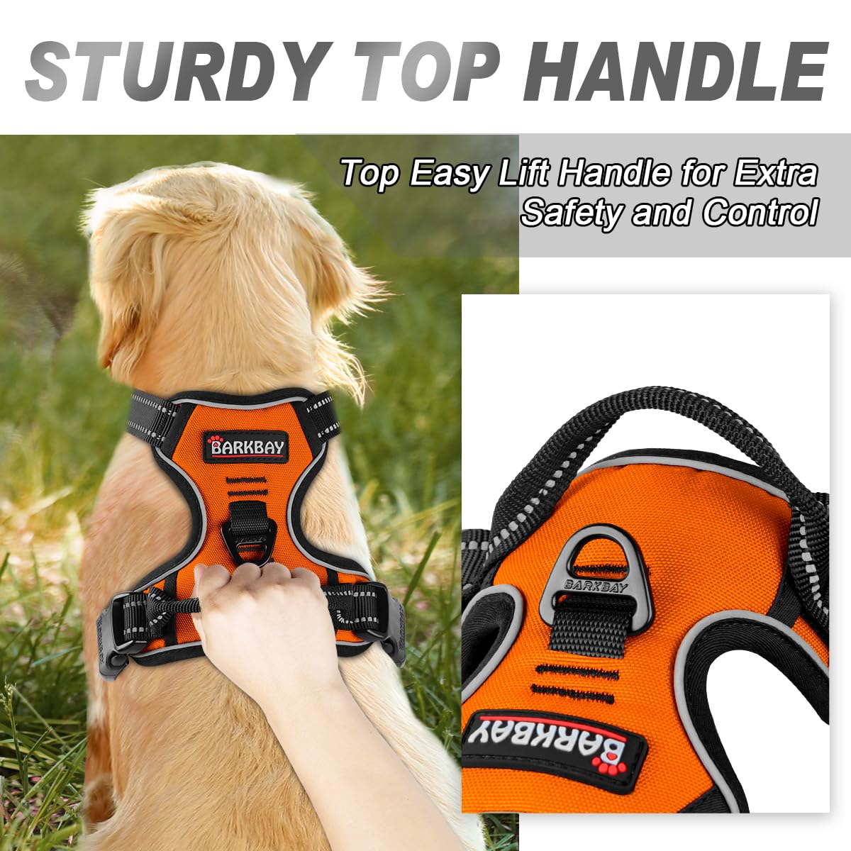 BARKBAY Reflective strips on harness enhance night visibility.
