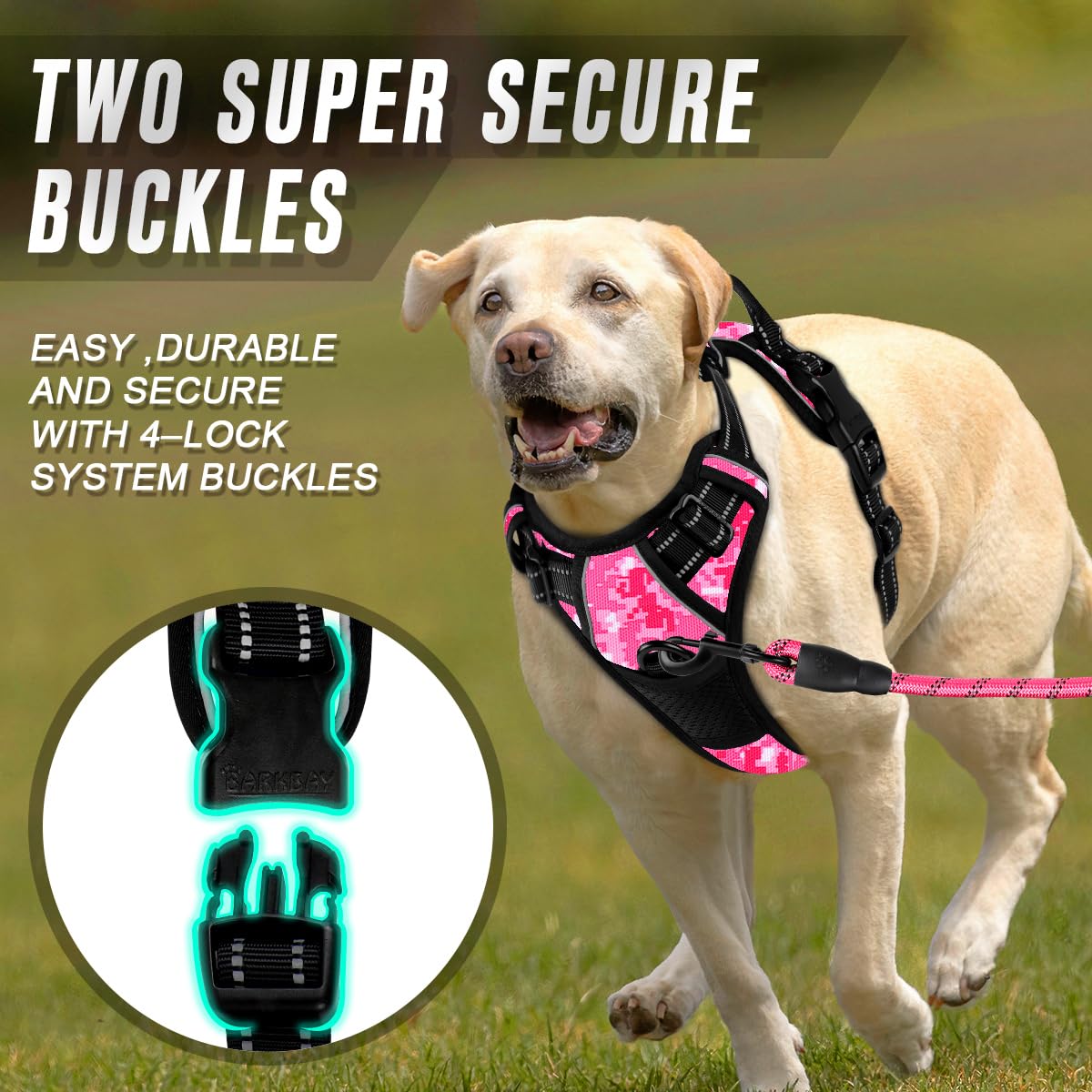 BARKBAY Harness with ultra-reflective strips improves night visibility during walks