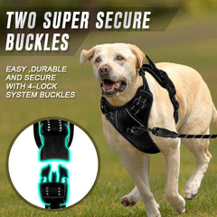 BARKBAY harness features ultra-reflective strips for better visibility at night