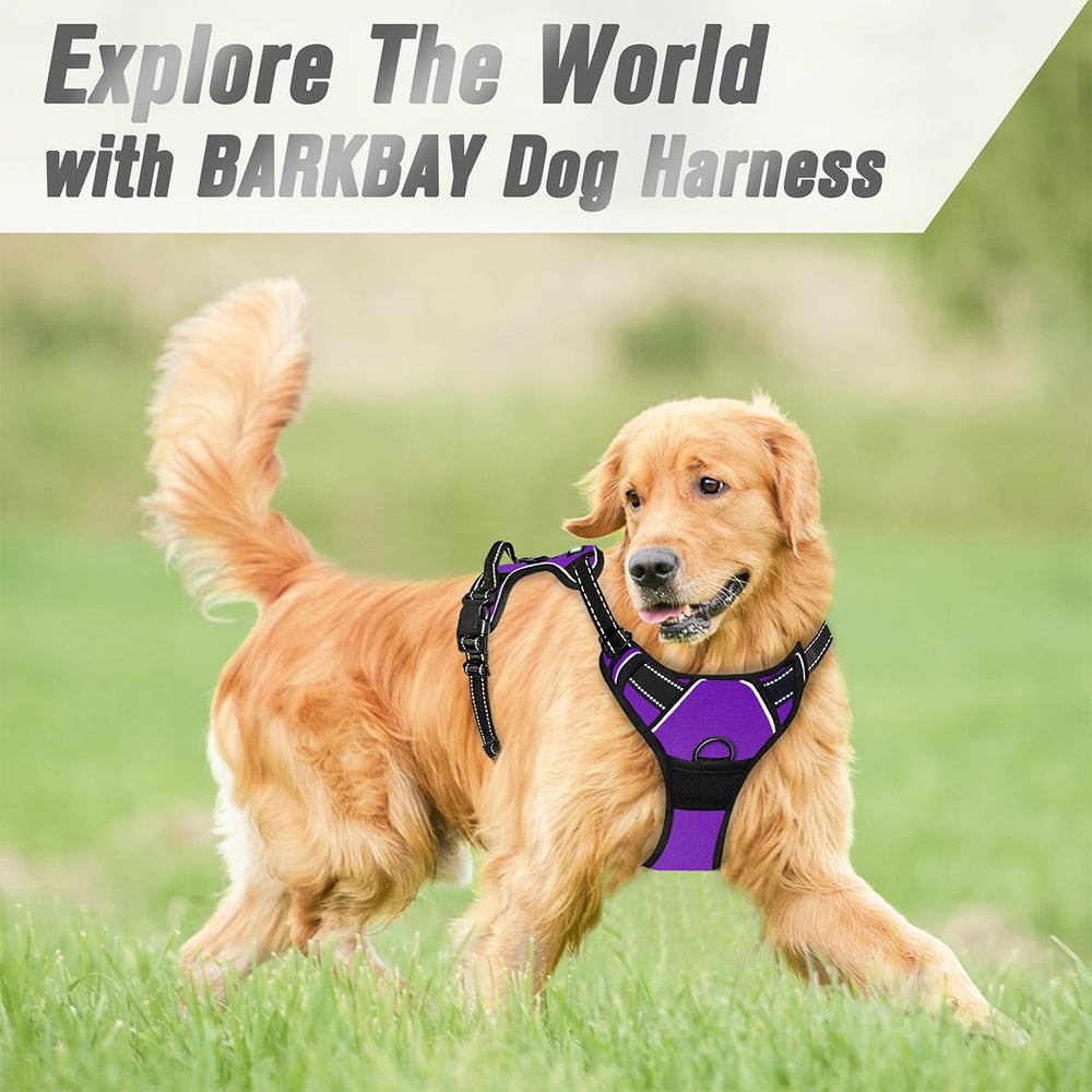 BARKBAY large-dog harness in purple supports comfortable daily outings.