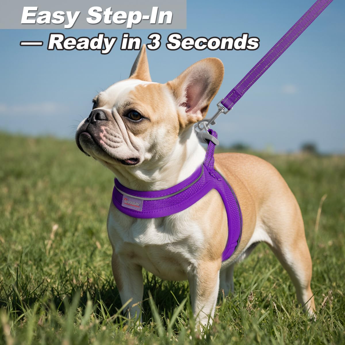 BARKBAY lightweight leash with comfortable handle and reflective accents for safer walks.