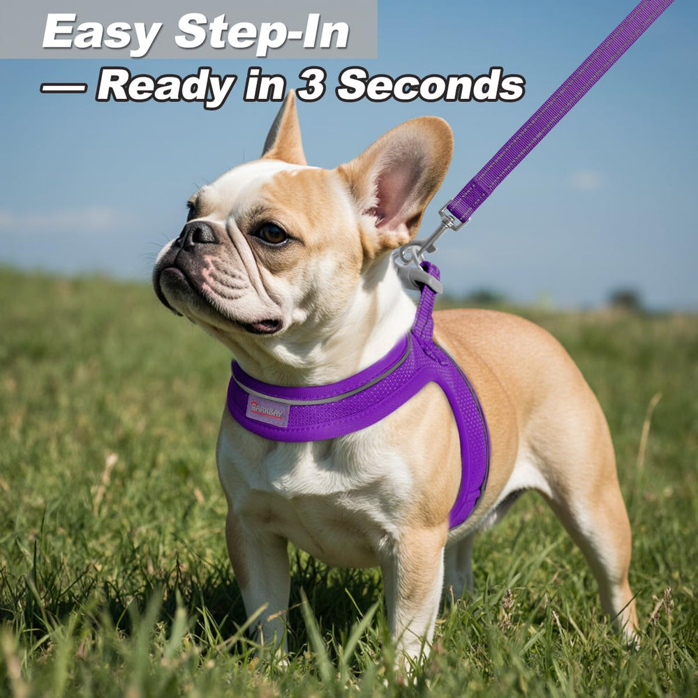 BARKBAY lightweight leash with comfortable handle and reflective accents for safer walks.