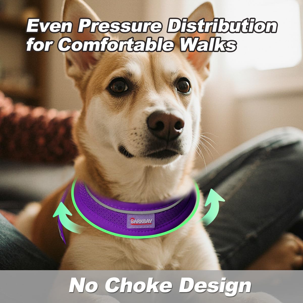 BARKBAY no-choke front panel close-up demonstrates neck-friendly design during walks.