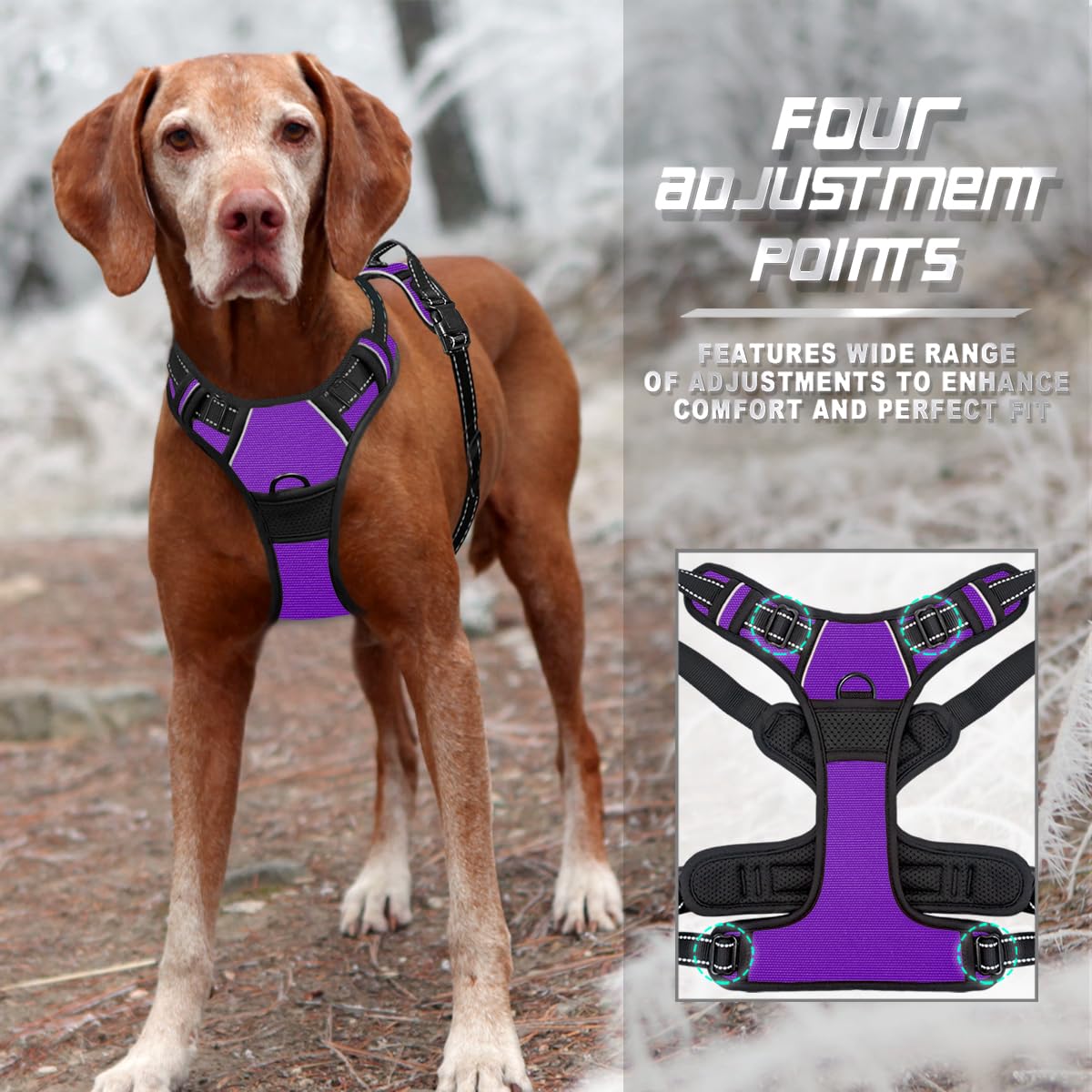 BARKBAY No Pull Harness top handle adds quick lift safety during challenging moments