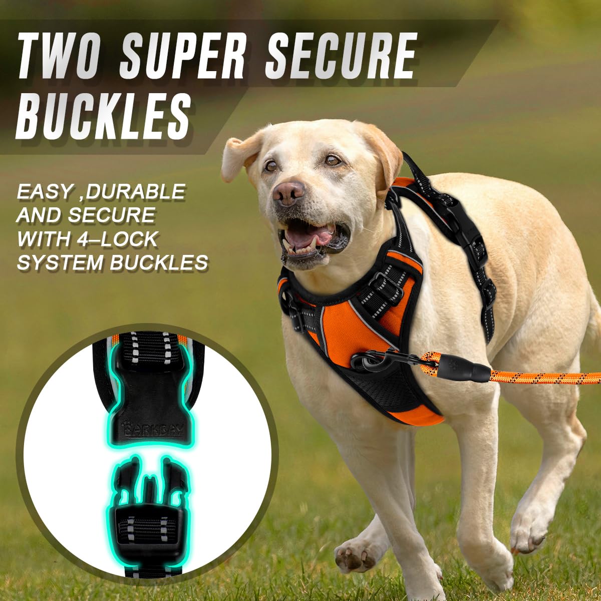 BARKBAY No Pull Harness 4-adjustment points ensure near-custom sizing