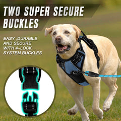 BARKBAY anti chafe padding prevents rubbing on longer outings