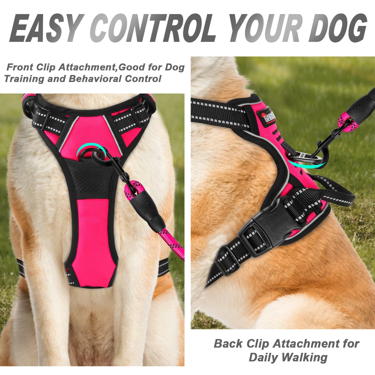 BARKBAY harness anti-chafe padding visible on chest for comfortable long walks.