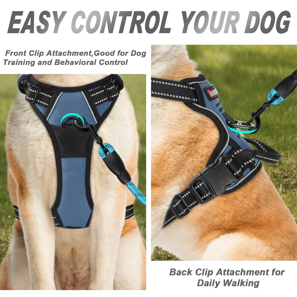 BARKBAY harness back attachment shown for versatile leash mounting on large dogs.
