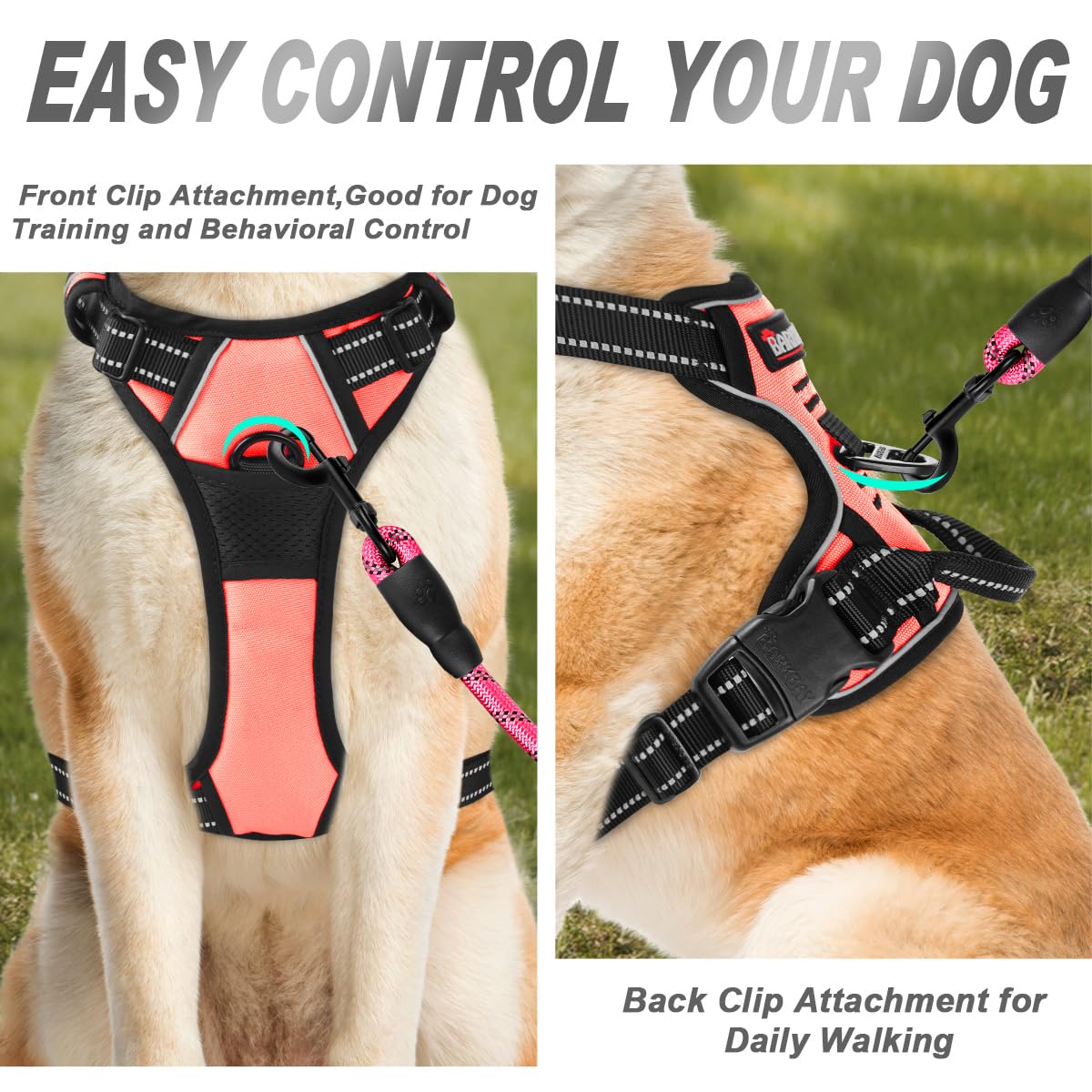 BARKBAY No Pull Harness back attachment aids with relaxed leash management.