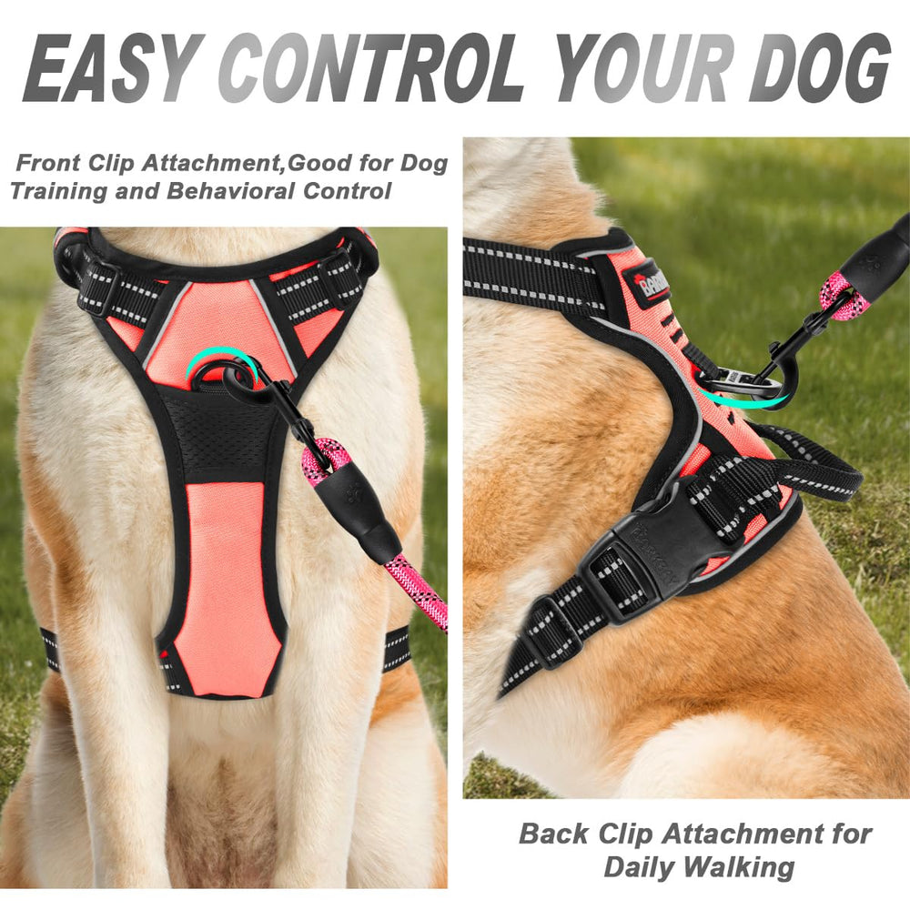 BARKBAY No Pull Harness back attachment aids with relaxed leash management.