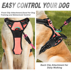 BARKBAY No Pull Harness back attachment aids with relaxed leash management.