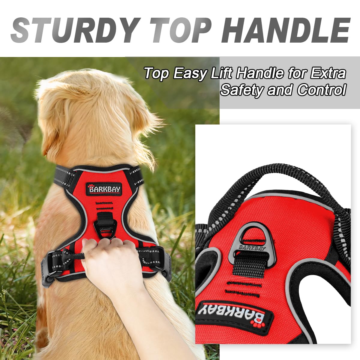 BARKBAY No Pull chest clip red supports targeted training and calm walking.