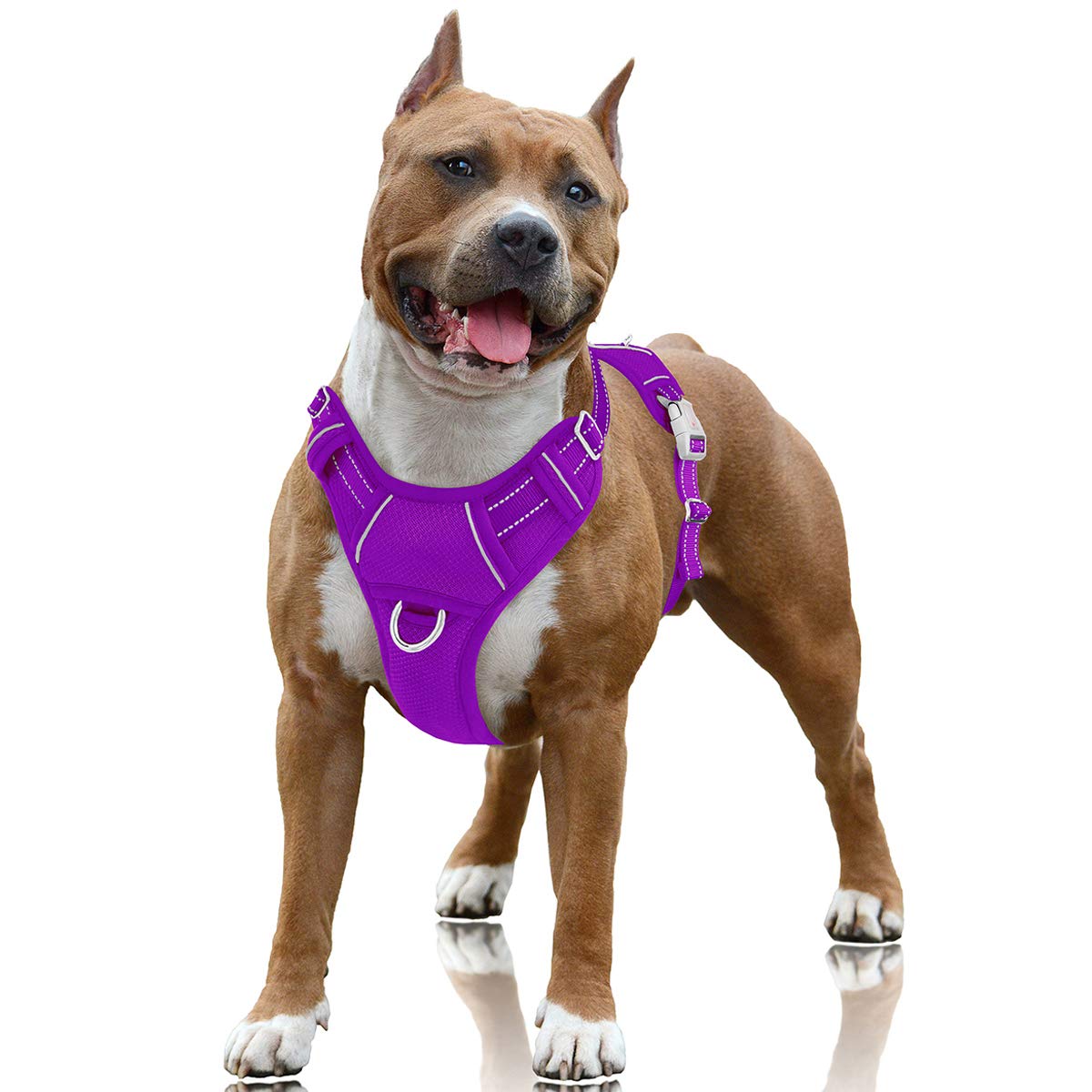 BARKBAY No Pull Harness front clip purple improves training.