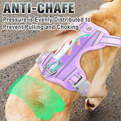 BARKBAY No Pull Harness ID pocket keeps contact info secure