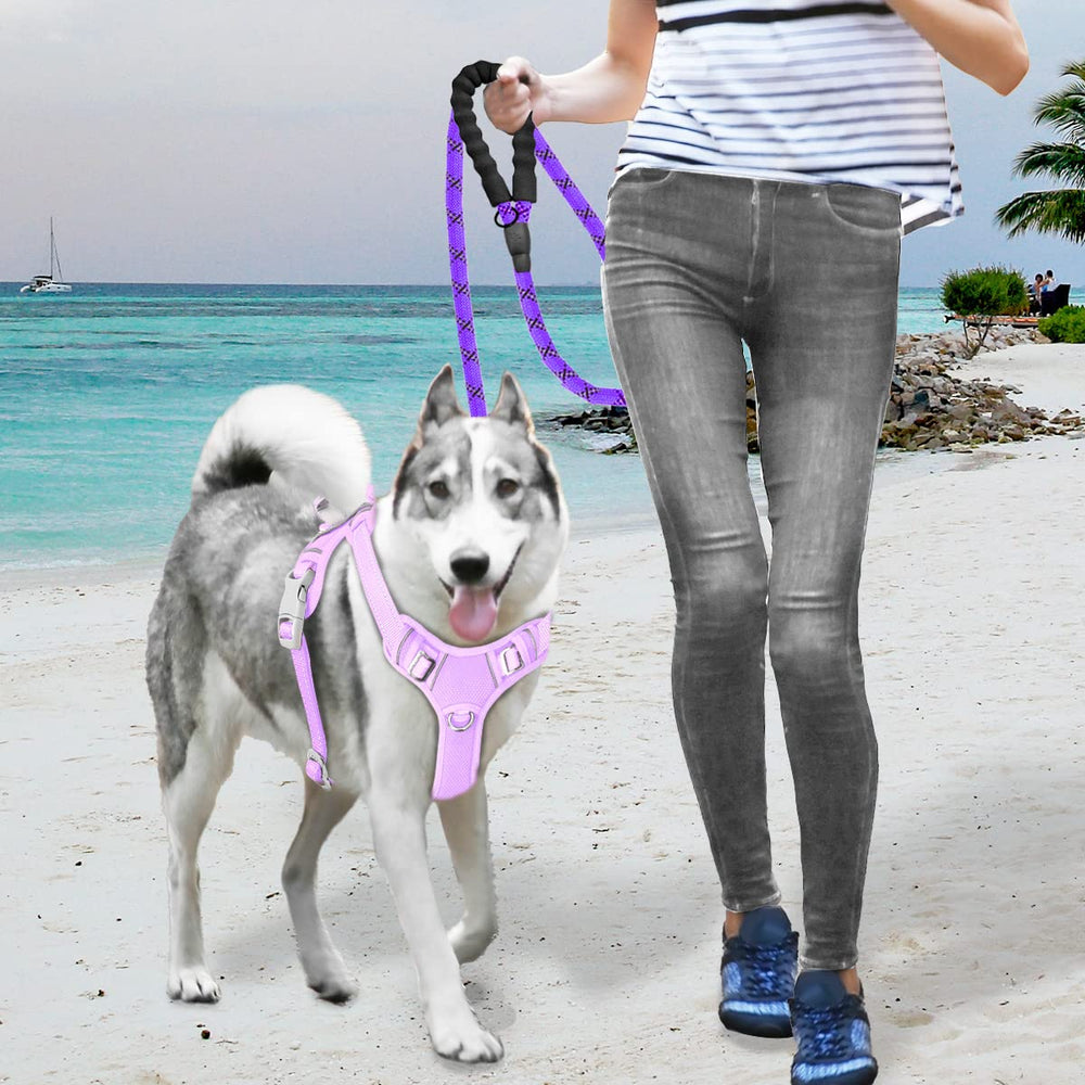 BARKBAY No Pull Harness large size fits larger dogs comfortably