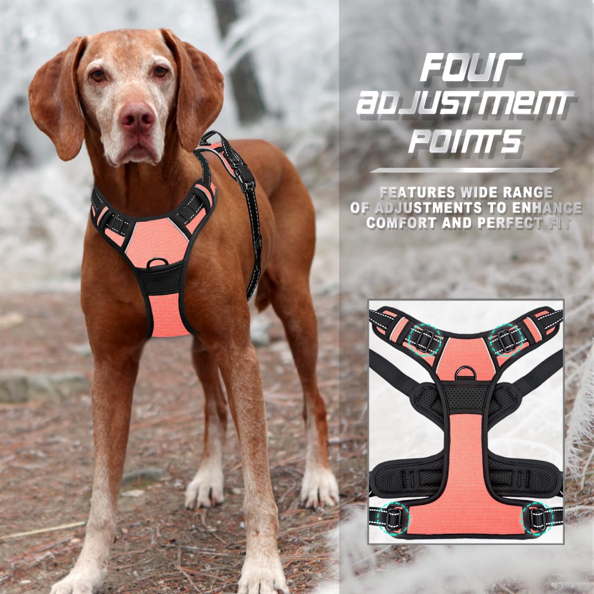 BARKBAY No Pull Harness ultra-reflective strips improve night visibility.