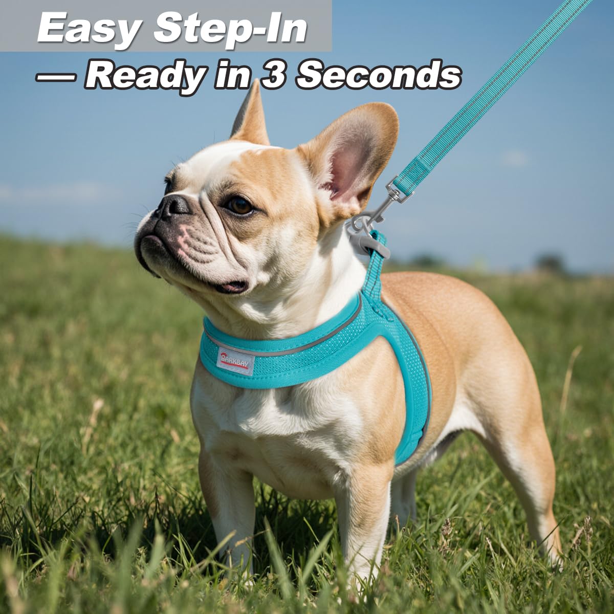 BARKBAY small dog walking set Ocean Blue ideal for petite pets