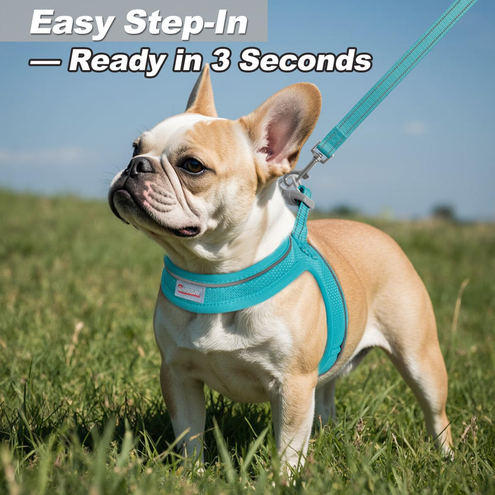 BARKBAY small dog walking set Ocean Blue ideal for petite pets