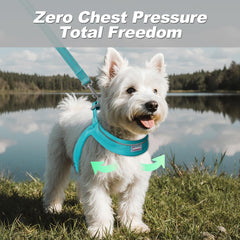 BARKBAY soft-mesh harness Ocean Blue close-up highlights breathable comfort
