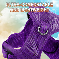 BARKBAY step-in harness back view, secure attachments with D-rings.