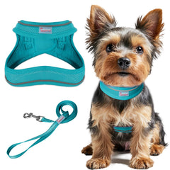 BARKBAY step-in harness Ocean Blue shows quick, fuss-free walks