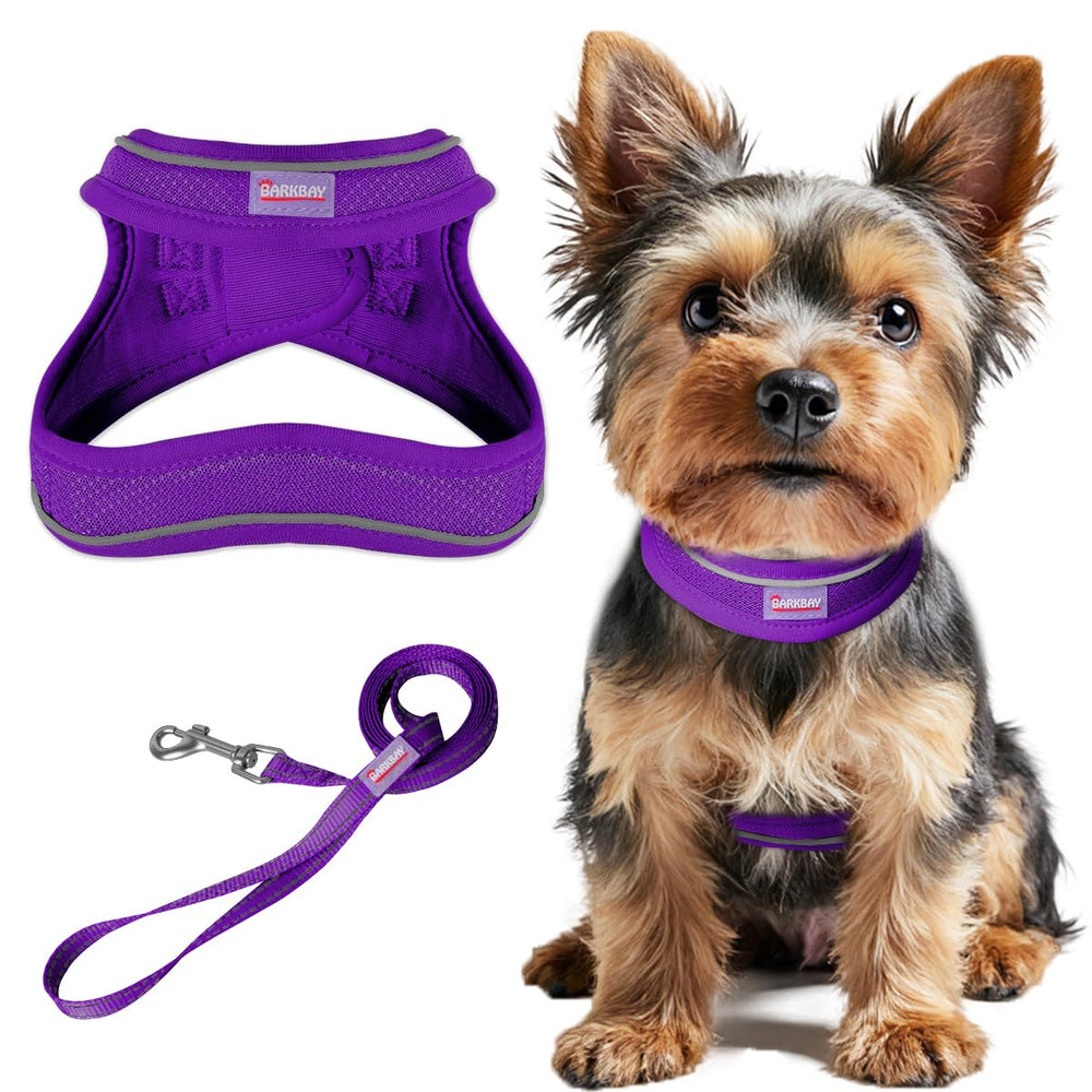 BARKBAY step-in harness purple front view highlights no-choke design for comfortable walks.