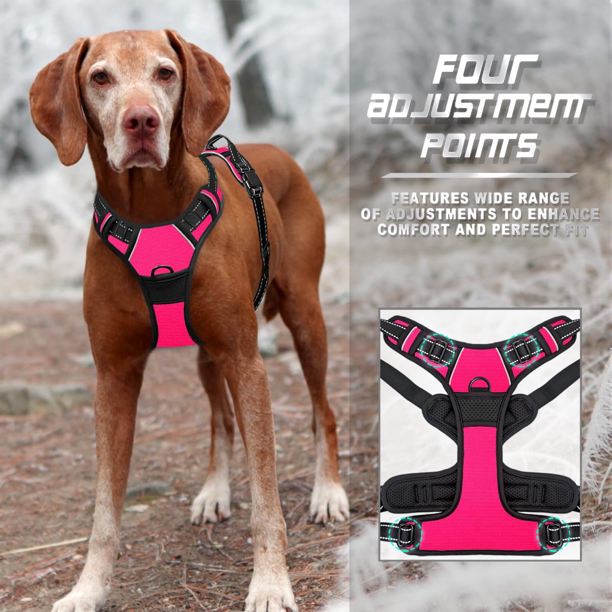 BARKBAY ultra-reflective strips visible for night-time safety during walks.