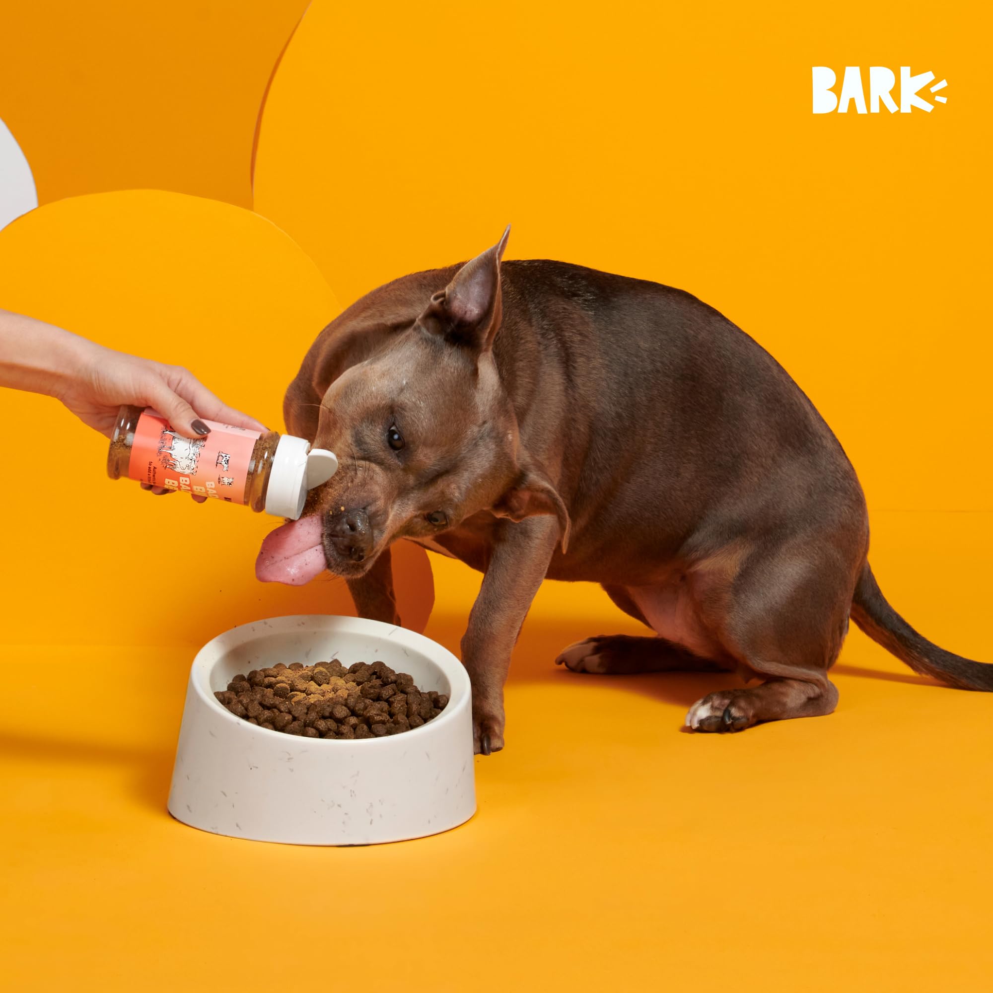 Barkbox Bada Bing Beef Topper packaging shot highlights limited-ingredient formula.