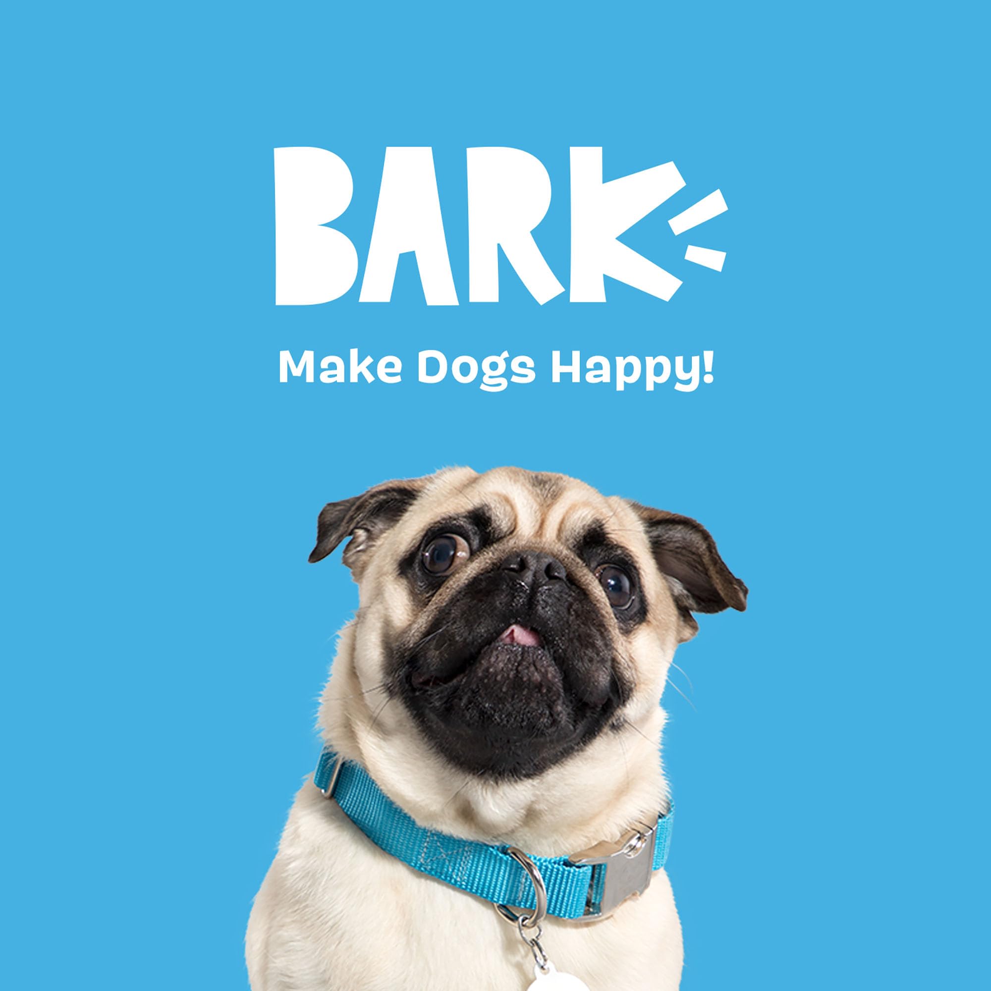 BarkBox BARK A Squeaky Meat-A-Ball medium size in active play setting